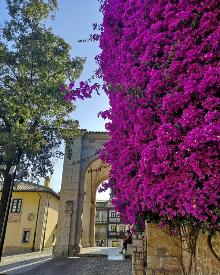 Apartamentos Camparina Llanes Bagian luar foto